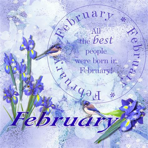 February Birthday Wishes Frases Saudações Ilustrações