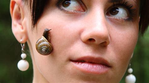 The Skinny On Snail Facials Sheknows