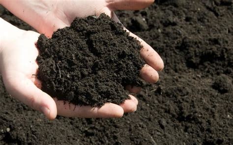 What Is Clayey Soil Its 4 Types Formation Uses And Advantages