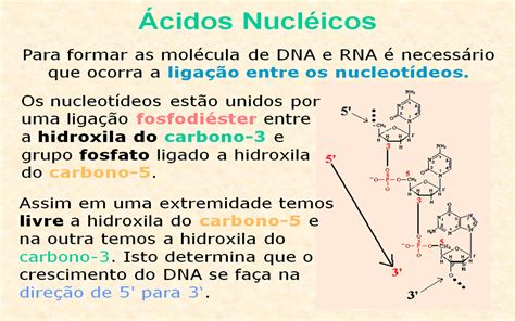 Ciências E Biologia Profª Biól Rosalia Aula Ácidos Nucléicos