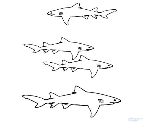 Check spelling or type a new query. 磊【+2250】Fáciles dibujos de Tiburones para dibujar ⚡️
