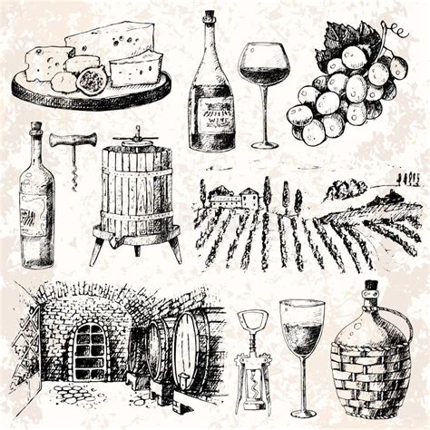 Vintage Winery Wine Production Handmade Draft Winemaking Sketch