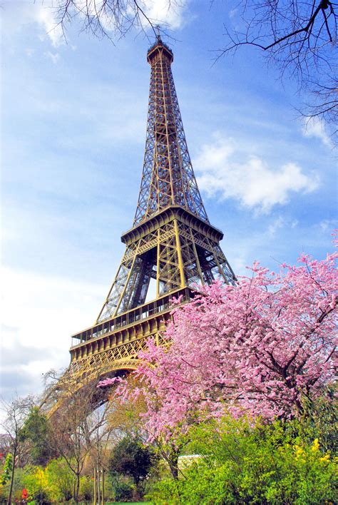 Our Tips To Enjoy Paris In The Spring Paris Pictures
