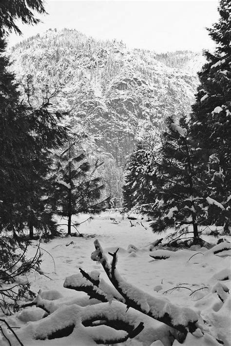 Pinterest Winter Scenes Winter Scene Winter Scenes Winter Scenes
