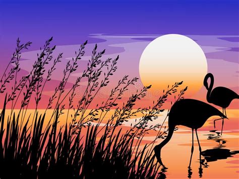 Flamingo In Sunset Stock Vector Illustration Of Wallpaper 138902762