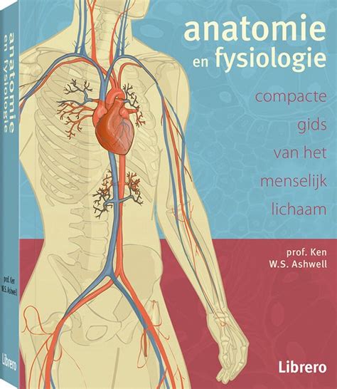 Anatomie En Fysiologie Ken Ashwell 9789089988607 Boeken Bol