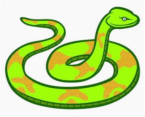 Realistic Snakes Clip Art Library
