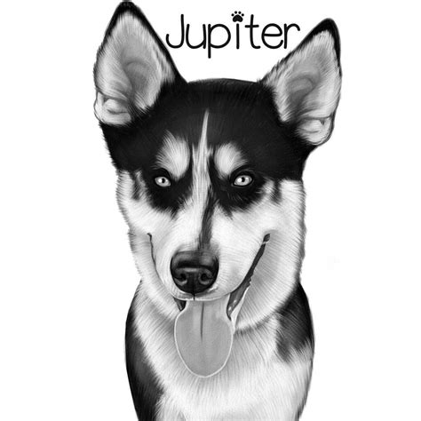 Husky Cartoon Caricature In Black And White Style From Photos