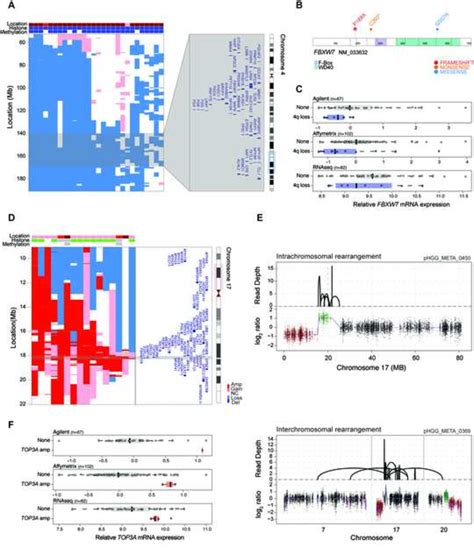 Figure 5 From Cancer Cell Integrated Molecular Meta Analysis Of 1000 Paediatric High Grade And