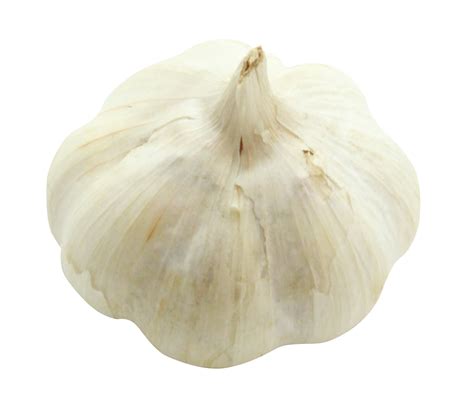 The Health Benefits Of Garlic Freedom Of Knowledge