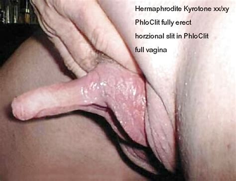 Hermaphrodite Huge Clit Hotnupics