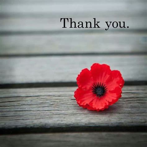 Aeon introduced two important days to be remembered: Thank You on Remembrance Day