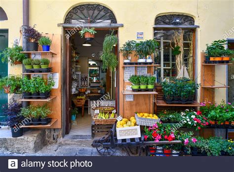 A Small Grocery Shop With Flowering Plants Herbs And Fruit Displayed