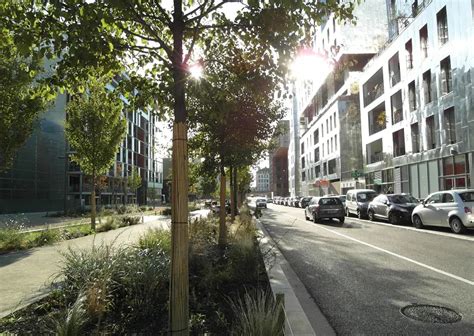 Why Should Successful Urban Tree Planting Matter To Engineers