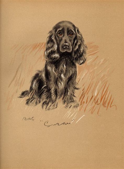 1937 Lucy Dawson Vintage Colour Dog Print By Gailsvintageprints Spaniel
