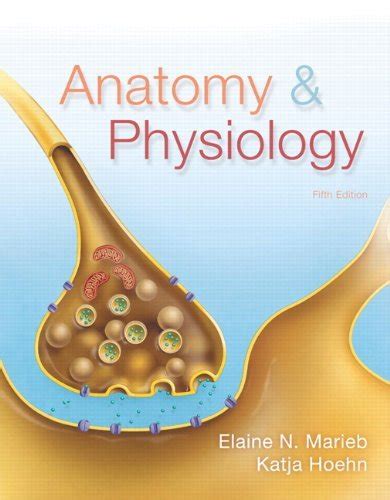 Anatomy And Physiology Marieb 5th Edition Test Bank Test Bank Safe