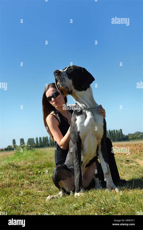 Beautiful Young Woman Big Dog Hi Res Stock Photography And Images Alamy