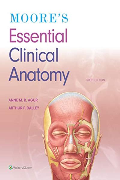 Moore S Essential Clinical Anatomy By Anne M R Agur Bsc Ot Msc Phd