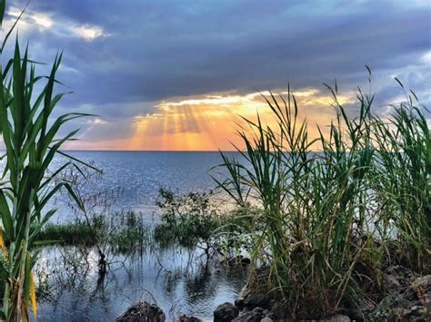 Holway reservoir are flood control and hydro electric power projects, and it is recognized and understood that the (b) water rights granted under these rules and regulations shall not be construed as the supplying or furnishing of water for domestic purposes to. East coast water supply depends on Lake Okeechobee | South ...