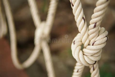 712 Rope Tied Together Knot Stock Photos Free And Royalty Free Stock