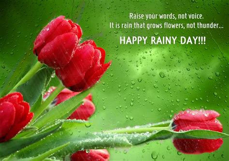 Sms Poetry Shayari And Wishes Portal Happy Rainy Day Wishes Sms Messages