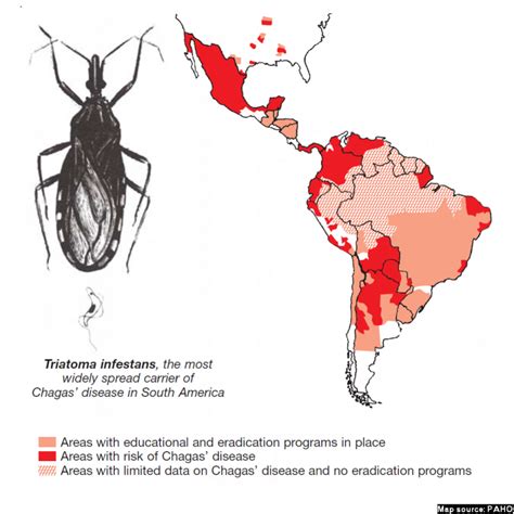 Chagas Disease What Is It And Why Should You Care IAMAT