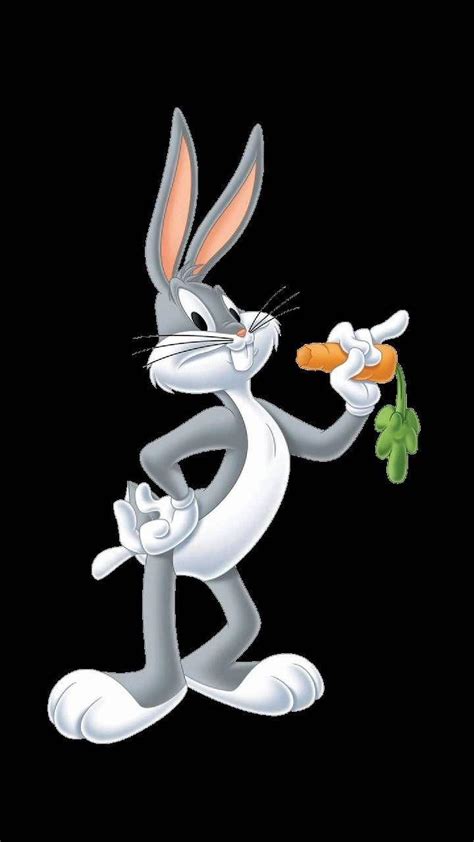 Bugs Bunny Looney Tunes Wallpapers Top Free Bugs Bunny Looney Tunes