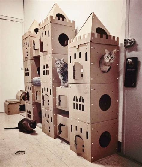 Cats In Cardboard Forts 22 Pics