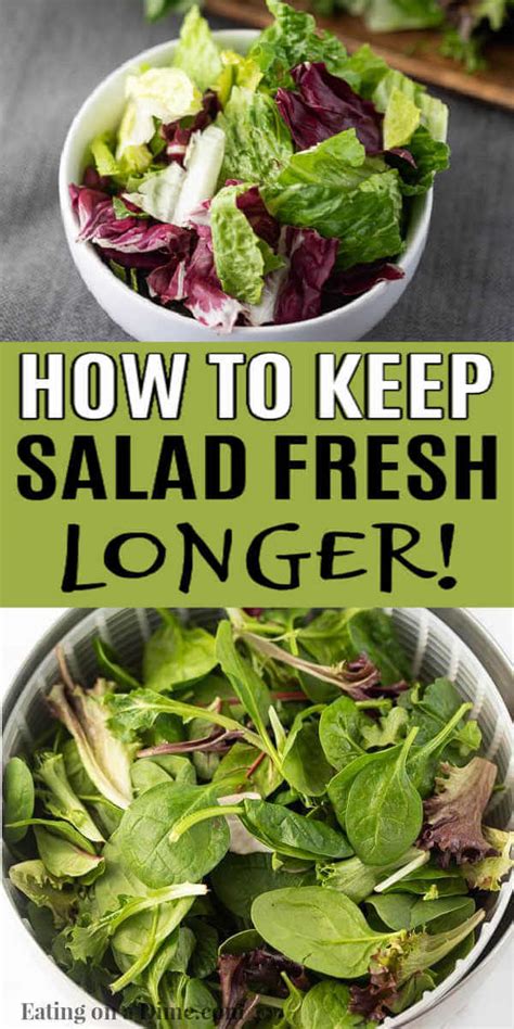 How To Keep Salad Fresh Learn The Best Tips And Tricks