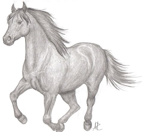 Beautiful And Easy Drawings To Draw Of Horses Drawing Art Library