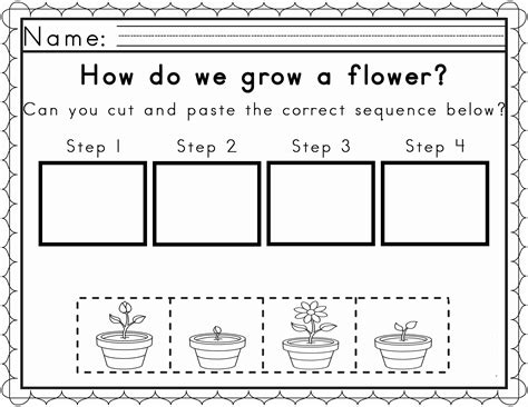 The life cycle of the golden barrel starts with the flower, which needs to be pollinated to produce seeds. Free Plant Life Cycle Worksheet Printables | Printable ...