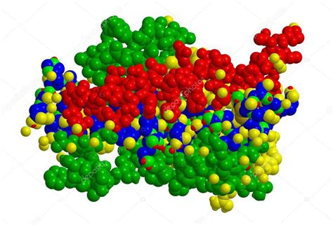 Estructura Molecular De La Hormona Del Crecimiento Somatotropina Representación 3d 2023