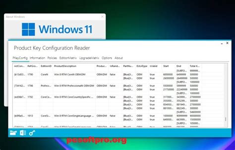 Windows 11 Product Key Gambaran