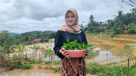 Gadis Desa Cantik Alami Neng Resfi Lagi Aktivitas Mencari Kangkung Di
