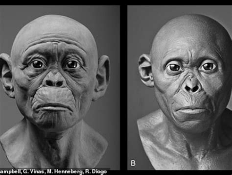Scientists Have Recreated Appearance Of Ancient Human Ancestors
