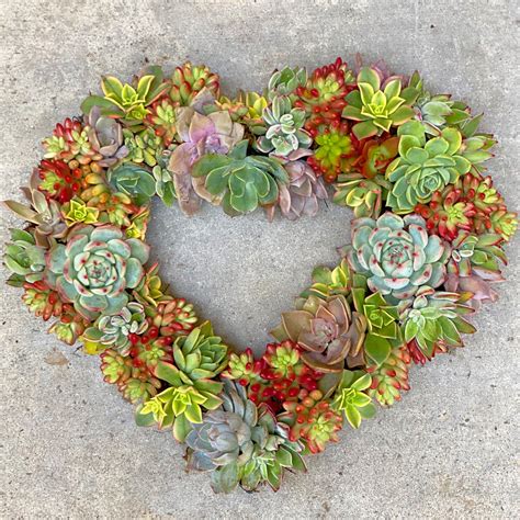 Diy Succulent Heart Wreath Workshop 9 Feb 2020