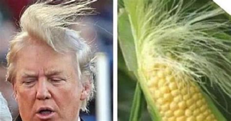 Seven Of The Best Memes Made About Donald Trump S Hair