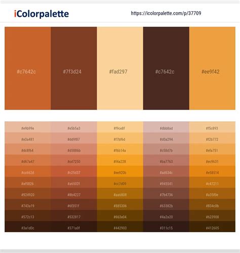 Burnt Umber Color Palette Colorsa