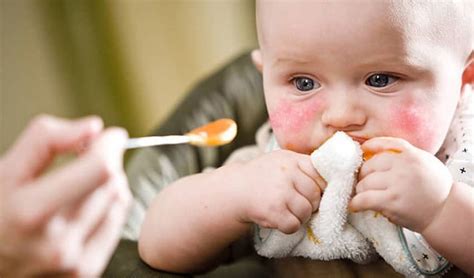 Food Allergies In Babies And Children Symptoms And Causes Womkid