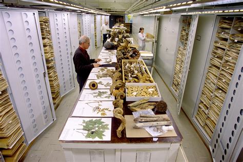 Amazing Photos Of The Smithsonians Massive Specimen Collections In Dc