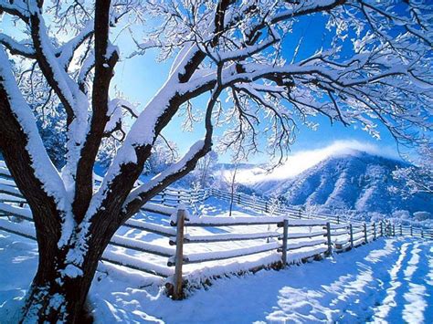 Fence Winter Wallpapers Wallpaper Cave