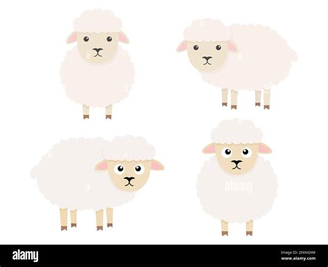 Cute Sheeps Character Set Cartoon Farm Animals Collection Vector