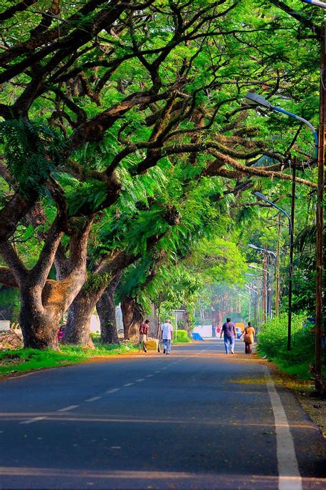 Popular among amateur photographers who need to. Fort Kochi by Ershad Ashraf on 500px road | Photo ...