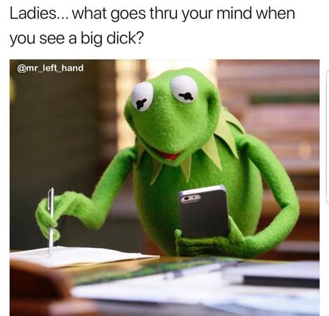 The Best Funny Memes With Kermit The Frog References