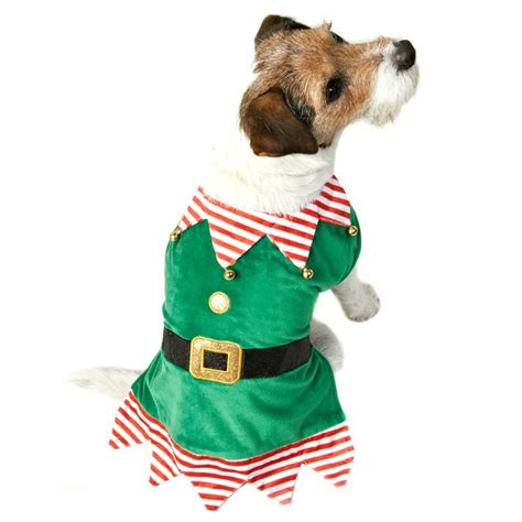 Elf Christmas Dog Costume Xs S Pets Dog Jumpers Bandm