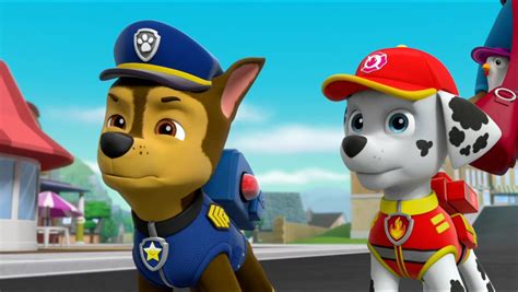 Chase Chase Paw Patrol Photo 41146112 Fanpop