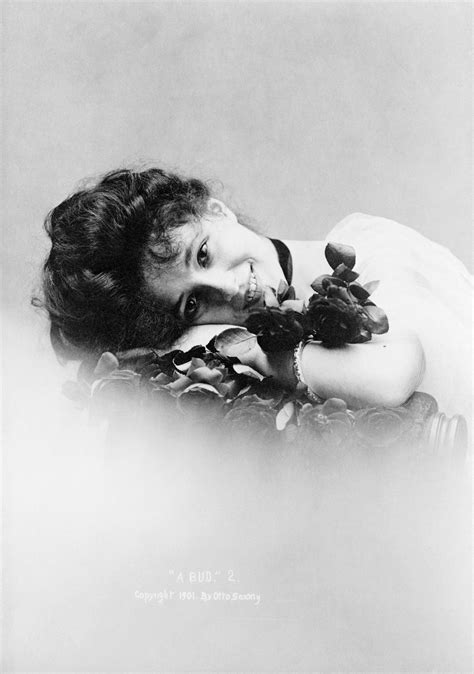 Evelyn Nesbit By Sarony Studio 1901 Evelyn Nesbit Alfred Stieglitz