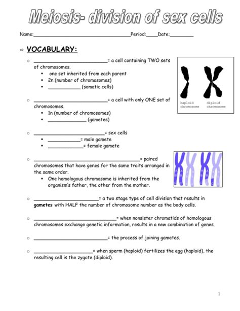 Meiosis Notes Packet