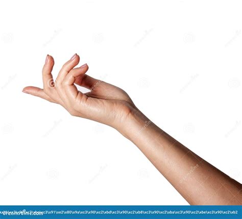 A Female Hand Outstretched Beckoning Stock Image Image Of Adult