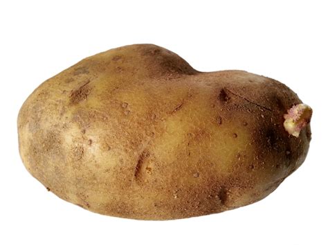 Potato Free Stock Photo Public Domain Pictures